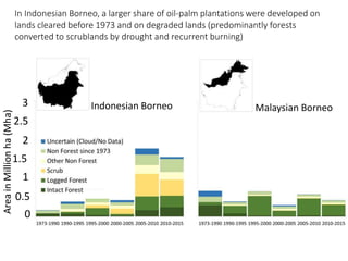 Four decades of forest degradation: Fire And oil palm expansion in Borneo 