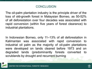 Four decades of forest degradation: Fire And oil palm expansion in Borneo 