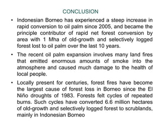 Four decades of forest degradation: Fire And oil palm expansion in Borneo 