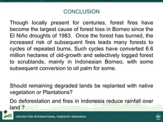 Four decades of forest degradation: Fire And oil palm expansion in Borneo 