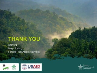 Four decades of forest degradation: Fire And oil palm expansion in Borneo 