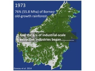 Four decades of forest degradation: Fire And oil palm expansion in Borneo 
