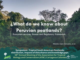 ¿What do we know about
Peruvian peatlands?
Mariela López Gonzales, et al.
Symposium: Tropical South American Peatlands:
distribution, impacts of disturbanceand knowledge gaps.
58th Annual Meeting of the Association for Tropical
Biology and Conservation (ATBC) Cartagena-Colombia
Ecosystem services, threats and Regulatory framework
 