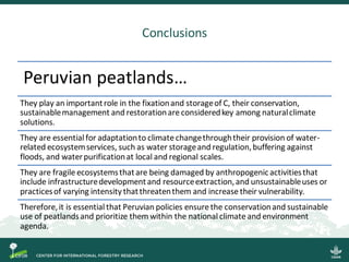 What do we know about Peruvian peatlands? : Ecosystem services, threats and Regulatory framework