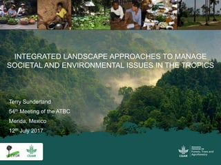 Terry Sunderland
54th Meeting of the ATBC
Merida, Mexico
12th July 2017
INTEGRATED LANDSCAPE APPROACHES TO MANAGE
SOCIETAL AND ENVIRONMENTAL ISSUES IN THE TROPICS
 