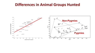 Differences in Hunted Animal Groups by 
Pygmies
Low (0.15)
Medium (0.69)
High (0.17)
Low (0.29)
Medium (0.58)
High (0.13)...