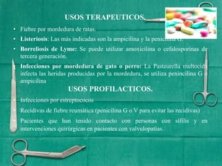 USOS PROFILACTICOS.
• Infecciones por estreptococos
• Recidivas de fiebre reumática (penicilina G o V para evitar las recidivas)
• Pacientes que han tenido contacto con personas con sífilis y en
intervenciones quirúrgicas en pacientes con valvulopatías.
USOS TERAPEUTICOS.
• Fiebre por mordedura de ratas.
• Listeriosis: Las más indicadas son la ampicilina y la penicilina G.
• Borreliosis de Lyme: Se puede utilizar amoxicilina o cefalosporinas de
tercera generación.
• Infecciones por mordedura de gato o perro: La Pasteurella multocida
infecta las heridas producidas por la mordedura, se utiliza penincilina G o
ampicilina.
 