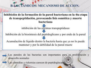 B-LACTAMICOS: MECANISMO DE ACCION.
Inhibición de la formación de la pared bacteriana en la 4ta etapa
de transpeptidación, provocando lisis osmótica y muerte
bacteriana
.
inhibición de las enzimas transpeptidasas
Inhibición de la biosíntesis del peptidoglicano y por ende de la pared
Acumulación de líquido dentro la bacteria hasta que ya no lo puede
mantener y por la debilidad de la pared muere
Las paredes de las bacterias son importantes para su proliferación y
desarrollo normales
Las clamidias y ricketsias carecen de peptidoglucano
 