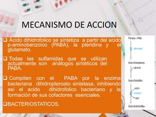 MECANISMO DE ACCION
 Ácido dihidrofolico se sintetiza a partir del acido
p-aminobenzoico (PABA), la pteridina y el
glutamato.
 Todas las sulfamidas que se utilizan
actualmente son análogos sintéticos del
PABA.
 Compiten con el PABA por la enzima
bacteriana dihidropteroato sintetasa, inhibiendo
así el acido dihidrofolico bacteriano y la
formación de sus cofactores esenciales.
BACTERIOSTATICOS.
 