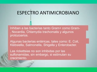 ESPECTRO ANTIMICROBIANO
Inhiben a las bacterias tanto Gram+ como Gram-
, Nocardia, Chlamydia trachomatis y algunos
protozoarios.
Algunas bacterias entéricas, tales como: E. Coli,
Klebsiella, Salmonella, Shigella y Enterobacter.
Las rickettsias no son inhibidas por las
sulfonamidas, sin embargo, si estimulan su
crecimiento.
 
