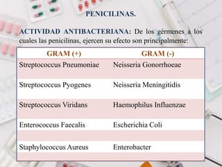 PENICILINAS.
ACTIVIDAD ANTIBACTERIANA: De los gérmenes a los
cuales las penicilinas, ejercen su efecto son principalmente:
GRAM (+) GRAM (-)
Streptococcus Pneumoniae Neisseria Gonorrhoeae
Streptococcus Pyogenes Neisseria Meningitidis
Streptococcus Viridans Haemophilus Influenzae
Enterococcus Faecalis Escherichia Coli
Staphylococcus Aureus Enterobacter
 