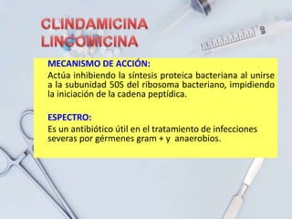 MECANISMO DE ACCIÓN:
Actúa inhibiendo la síntesis proteica bacteriana al unirse
a la subunidad 50S del ribosoma bacteriano, impidiendo
la iniciación de la cadena peptídica.
ESPECTRO:
Es un antibiótico útil en el tratamiento de infecciones
severas por gérmenes gram + y anaerobios.
 