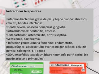 Indicaciones terapéuticas:
•Infección bacteriana grave de piel y tejido blando: abscesos,
celulitis, heridas infectadas.
•Dental severa: absceso periapical, gingivitis.
•Intraabdominal: peritonitis, absceso.
•Osteoarticular: osteomielitis, artritis séptica.
•Septicemia, bacteriemia.
• Infección genitourinaria femenina: endometritis,
posquirúrgica, absceso tubo-ovárico no gonocócico, celulitis
pélvica, salpingitis, EPI aguda
•SIDA: encefalitis toxoplasmática y neumonía por P. carinii (se
puede asociar a primaquina).
 