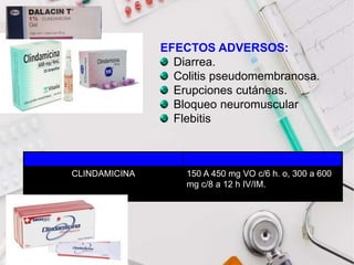 ATB DOSIS
CLINDAMICINA 150 A 450 mg VO c/6 h. o, 300 a 600
mg c/8 a 12 h IV/IM.
EFECTOS ADVERSOS:
Diarrea.
Colitis pseudomembranosa.
Erupciones cutáneas.
Bloqueo neuromuscular
Flebitis
 