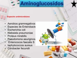 • Aerobios gramnegativos.
• Especies de Enterobacter
• Escherichia coli
• Klebsiela pneumoniae
• Proteus mirabilis
• Pseudomona aeuriginosa
• Enterococos faecalis S
• taphylococcos aureus
• Citrobacter fecundii
Espectro antimicrobiano
Aminoglucosidos
 