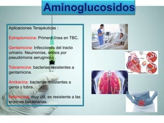 Aminoglucosidos
Aplicaciones Terapéuticas :
Estreptomicina: Primera línea en TBC.
Gentamicina: Infecciones del tracto
urinario. Neumonías, sepsis por
pseudómona aeruginosa .
Tobramicina: bacterias resistentes a
gentamicina.
Amikacina: bacterias resistentes a
genta y tobra.
Netilmicina: muy útil, es resistente a las
enzimas bacterianas.
 