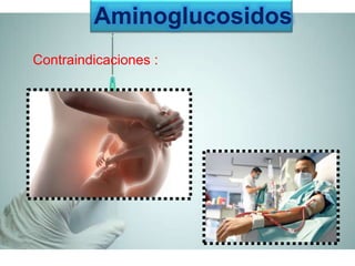 Contraindicaciones :
Aminoglucosidos
 