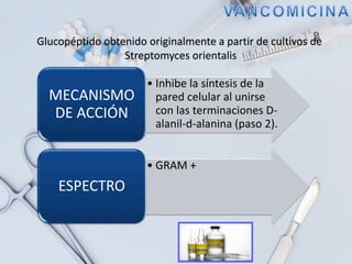 • Inhibe la síntesis de la
pared celular al unirse
con las terminaciones D-
alanil-d-alanina (paso 2).
MECANISMO
DE ACCIÓN
• GRAM +
ESPECTRO
Glucopéptido obtenido originalmente a partir de cultivos de
Streptomyces orientalis
 