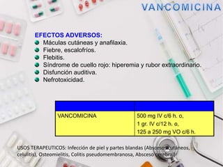 EFECTOS ADVERSOS:
Máculas cutáneas y anafilaxia.
Fiebre, escalofríos.
Flebitis.
Síndrome de cuello rojo: hiperemia y rubor extraordinario.
Disfunción auditiva.
Nefrotoxicidad.
ATB DOSIS
VANCOMICINA 500 mg IV c/6 h. o,
1 gr. IV c/12 h. o,
125 a 250 mg VO c/6 h.
USOS TERAPEUTICOS: Infección de piel y partes blandas (Abscesos cutáneos,
celulitis), Osteomielitis, Colitis pseudomembranosa, Absceso cerebral)
 