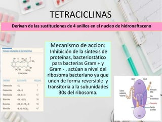 TETRACICLINAS
Derivan de las sustituciones de 4 anillos en el nucleo de hidronaftaceno
Mecanismo de accion:
Inhibición de la síntesis de
proteínas, bacteriostático
para bacterias Gram + y
Gram - . actúan a nivel del
ribosoma bacteriano ya que
unen de forma reversible y
transitoria a la subunidades
30s del ribosoma.
 