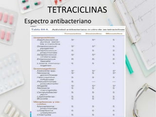 TETRACICLINAS
Espectro antibacteriano
 