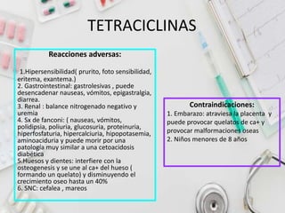 TETRACICLINAS
Contraindicaciones:
1. Embarazo: atraviesa la placenta y
puede provocar quelatos de ca+ y
provocar malformaciones oseas
2. Niños menores de 8 años
Reacciones adversas:
1.Hipersensibilidad( prurito, foto sensibilidad,
eritema, exantema.)
2. Gastrointestinal: gastrolesivas , puede
desencadenar nauseas, vómitos, epigastralgia,
diarrea.
3. Renal : balance nitrogenado negativo y
uremia
4. Sx de fanconi: ( nauseas, vómitos,
polidipsia, poliuria, glucosuria, proteinuria,
hiperfosfaturia, hipercalciuria, hipopotasemia,
aminoaciduria y puede morir por una
patología muy similar a una cetoacidosis
diabética
5.Huesos y dientes: interfiere con la
osteogenesis y se une al ca+ del hueso (
formando un quelato) y disminuyendo el
crecimiento oseo hasta un 40%
6. SNC: cefalea , mareos
 