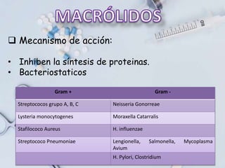  Mecanismo de acción:
• Inhiben la síntesis de proteinas.
• Bacteriostaticos
Gram + Gram -
Streptococos grupo A, B, C Neisseria Gonorreae
Lysteria monocytogenes Moraxella Catarralis
Stafilococo Aureus H. influenzae
Streptococo Pneumoniae Lengionella, Salmonella, Mycoplasma
Avium
H. Pylori, Clostridium
 