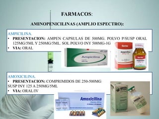 FARMACOS:
AMINOPENICILINAS (AMPLIO ESPECTRO):
AMPICILINA.
• PRESENTACION: AMPEN CAPSULAS DE 500MG. POLVO P/SUSP ORAL
125MG/5ML Y 250MG/5ML. SOL POLVO INY 500MG-1G
• VIA: ORAL
AMOXICILINA.
• PRESENTACION: COMPRIMIDOS DE 250-500MG
SUSP INY 125 A 250MG/5ML
• VIA: ORAL/IV
 