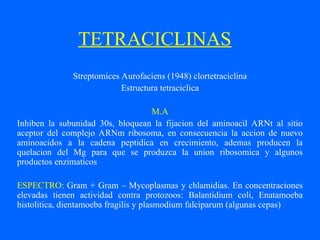 TETRACICLINAS
Streptomices Aurofaciens (1948) clortetraciclina
Estructura tetraciclica
M.A
Inhiben la subunidad 30s, bloquean la fijacion del aminoacil ARNt al sitio
aceptor del complejo ARNm ribosoma, en consecuencia la accion de nuevo
aminoacidos a la cadena peptidica en crecimiento, ademas producen la
quelacion del Mg para que se produzca la union ribosomica y algunos
productos enzimaticos
ESPECTRO: Gram + Gram – Mycoplasmas y chlamidias. En concentraciones
elevadas tienen actividad contra protozoos: Balantidium coli, Enatamoeba
histolitica, dientamoeba fragilis y plasmodium falciparum (algunas cepas)
 