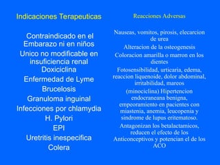 Indicaciones Terapeuticas
Contraindicado en el
Embarazo ni en niños
Unico no modificable en
insuficiencia renal
Doxiciclina
Enfermedad de Lyme
Brucelosis
Granuloma inguinal
Infecciones por chlamydia
H. Pylori
EPI
Uretritis inespecifica
Colera
Reacciones Adversas
Nauseas, vomitos, pirosis, elecarcion
de urea
Alteracion de la osteogenesis
Coloracion amarilla o marron en los
dientes
Fotosensibilidad, urticaria, edema,
reaccion liquenoide, dolor abdominal,
irritabilidad, mareos
(minociclina) Hipertencion
endocraneana benigna,
empeoramiento en pacientes con
miastenia, anemia, leucopenia y
sindrome de lupus eritematoso.
Antagonizan los betalactamicos,
reducen el efecto de los
Anticonceptivos y potencian el de los
ACO
 