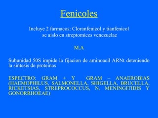 Fenicoles
Incluye 2 farmacos: Cloranfenicol y tianfenicol
se aislo en streptomices venezuelae
M.A
Subunidad 50S impide la fijacion de aminoacil ARNt deteniendo
la sintesis de proteinas
ESPECTRO: GRAM + Y GRAM – ANAEROBIAS
(HAEMOPHILUS, SALMONELLA, SHIGELLA, BRUCELLA,
RICKETSIAS, STREPROCOCCUS, N. MENINGITIDIS Y
GONORRHOEAE)
 