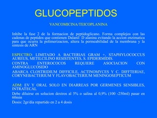 GLUCOPEPTIDOS
VANCOMICINA/TEICOPLANINA
Inhibe la fase 2 de la formacion de peptidoglicano. Forma complejos con las
cadenas de peptidos que contienen Dalanil D alanina evitando la accion enzimatica
para que ocurra la polimerizacion, altera la permeabilidad de la membrana y la
sintesis de ARN
ESPECTRO: LIMITADO A BACTERIAS GRAM +, STAPHYLOCOCCUS
AUREUS, METILCILINO RESISTENTES, S. EPIDERMIDIS.
CONTRA ENTEROCOCOS REQUIERE ASOCIACION CON
AMINOGLUCOSIDO
ABARCA CLOSTRIDIUM DIFFICILE, ACTINOMYCES Y C. DIFFTERIAE,
CORYNEBACTERIUM Y FLAVOBACTERIUM MENINGOSEPTICUM
ADM: EV Y ORAL SOLO EN DIARREAS POR GERMENES SENSIBLES,
INTRATECAL
Debe diluirse en solucion dextros al 5% o salina al 0,9% (100 -250ml) pasar en
60min
Dosis: 2gr/dia repartido en 2 a 4 dosis
 