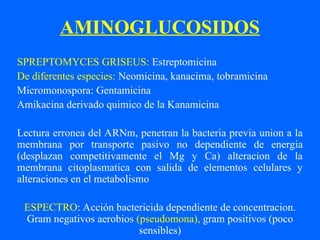 AMINOGLUCOSIDOS
SPREPTOMYCES GRISEUS: Estreptomicina
De diferentes especies: Neomicina, kanacima, tobramicina
Micromonospora: Gentamicina
Amikacina derivado quimico de la Kanamicina
Lectura erronea del ARNm, penetran la bacteria previa union a la
membrana por transporte pasivo no dependiente de energia
(desplazan competitivamente el Mg y Ca) alteracion de la
membrana citoplasmatica con salida de elementos celulares y
alteraciones en el metabolismo
ESPECTRO: Acción bactericida dependiente de concentracion.
Gram negativos aerobios (pseudomona), gram positivos (poco
sensibles)
 