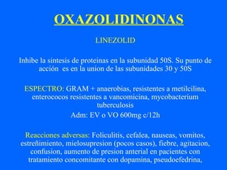 OXAZOLIDINONAS
LINEZOLID
Inhibe la sintesis de proteinas en la subunidad 50S. Su punto de
acción es en la union de las subunidades 30 y 50S
ESPECTRO: GRAM + anaerobias, resistentes a metilcilina,
enterococos resistentes a vancomicina, mycobacterium
tuberculosis
Adm: EV o VO 600mg c/12h
Reacciones adversas: Foliculitis, cefalea, nauseas, vomitos,
estreñimiento, mielosupresion (pocos casos), fiebre, agitacion,
confusion, aumento de presion anterial en pacientes con
tratamiento concomitante con dopamina, pseudoefedrina,
 