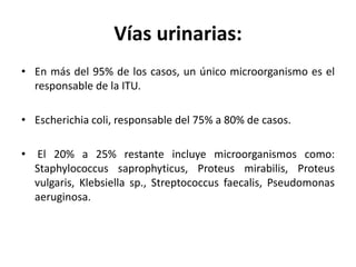 Vías urinarias:
• En más del 95% de los casos, un único microorganismo es el
responsable de la ITU.
• Escherichia coli, responsable del 75% a 80% de casos.
• El 20% a 25% restante incluye microorganismos como:
Staphylococcus saprophyticus, Proteus mirabilis, Proteus
vulgaris, Klebsiella sp., Streptococcus faecalis, Pseudomonas
aeruginosa.
 