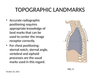 Positioning Landmarks Radiography Supplementary Views of Thorax and Lung Pathologies.pptx