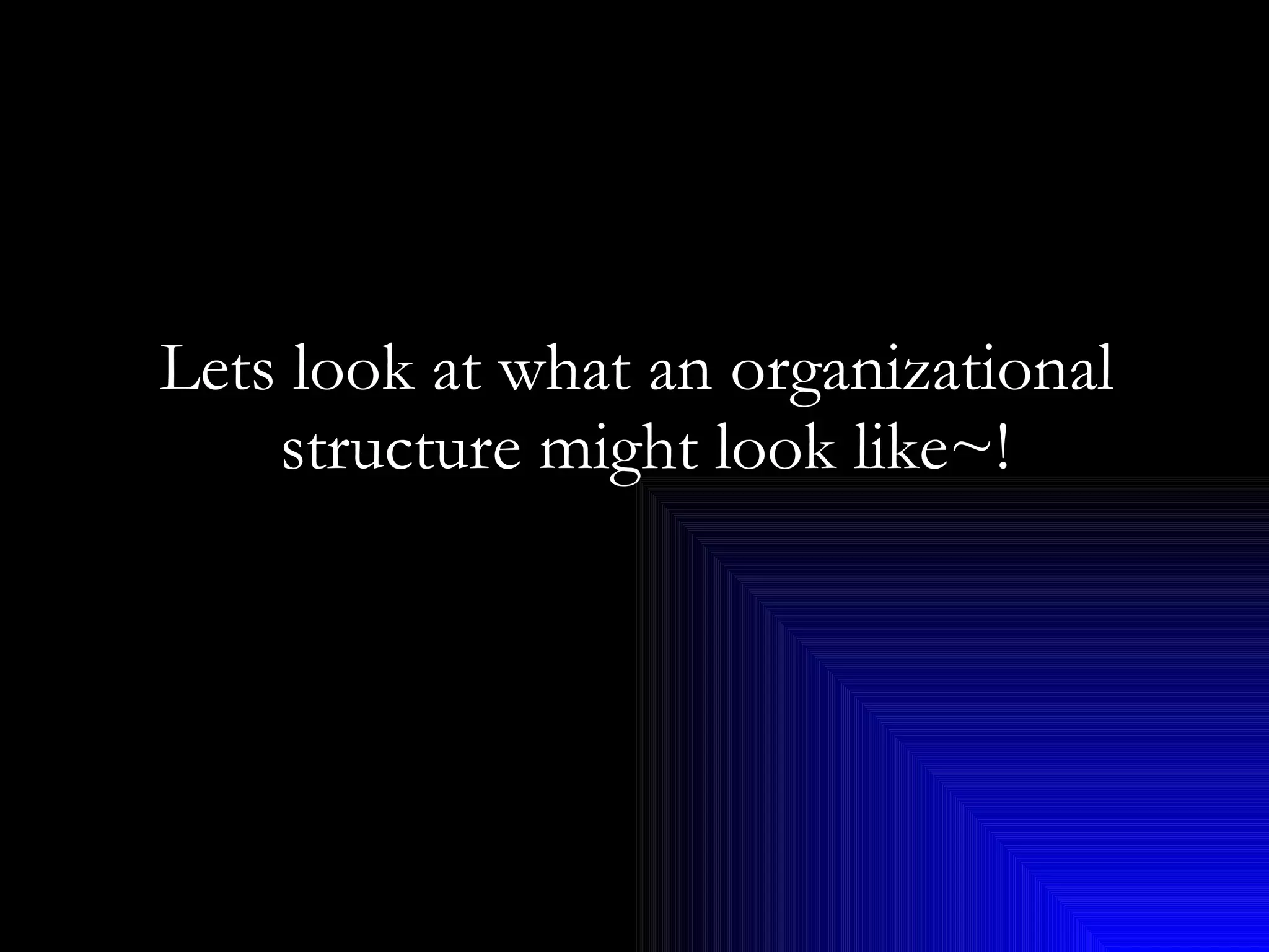 Lets look at what an organizational  structure might look like~! 