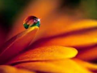 Até Chegar Em Sião Renascer Praise