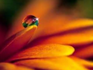 Até chegar a sião renascer praise