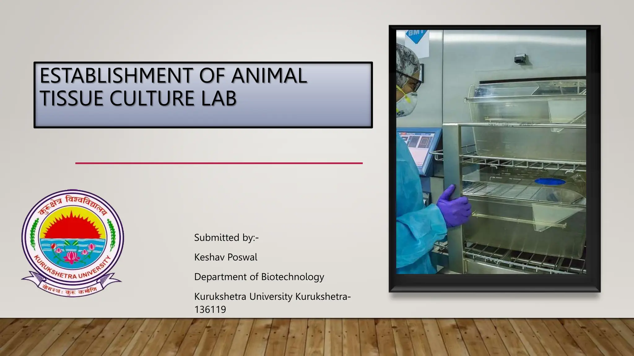 The title of this presentation is :-Establishment of animal tissue ...
