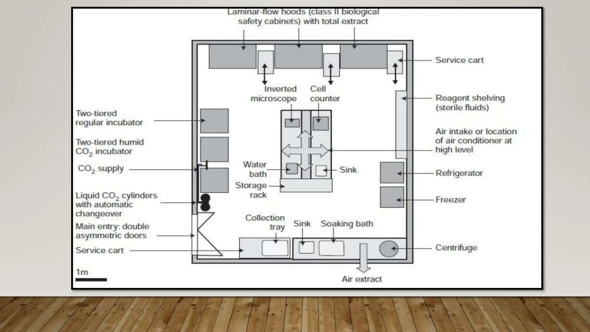 The title of this presentation is :-Establishment of animal tissue culture  lab that focuses on various parameters like the design \u0026 layout of tissue  culture lab , equipment's used in animal tissue, image size:2048x1152