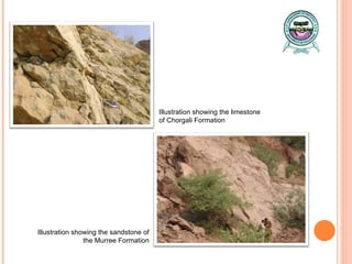 Illustration showing the limestone of Chorgali Formation Illustration showing the sandstone of the Murree Formation 