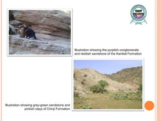 Illustration showing the purplish conglomerate and reddish sandstone of the Kamlial Formation Illustration showing grey-green sandstone and  pinkish clays of Chinji Formation 