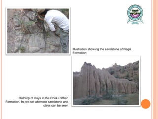 Illustration showing the sandstone of Nagri Formation Outcrop of clays in the Dhok Pathan Formation. In pre-set alternate sandstone and clays can be seen 