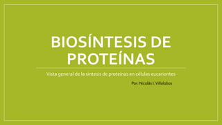 BIOSÍNTESIS DE
PROTEÍNAS
Vista general de la síntesis de proteínas en células eucariontes
Por: Nicolás I.Villalobos
 