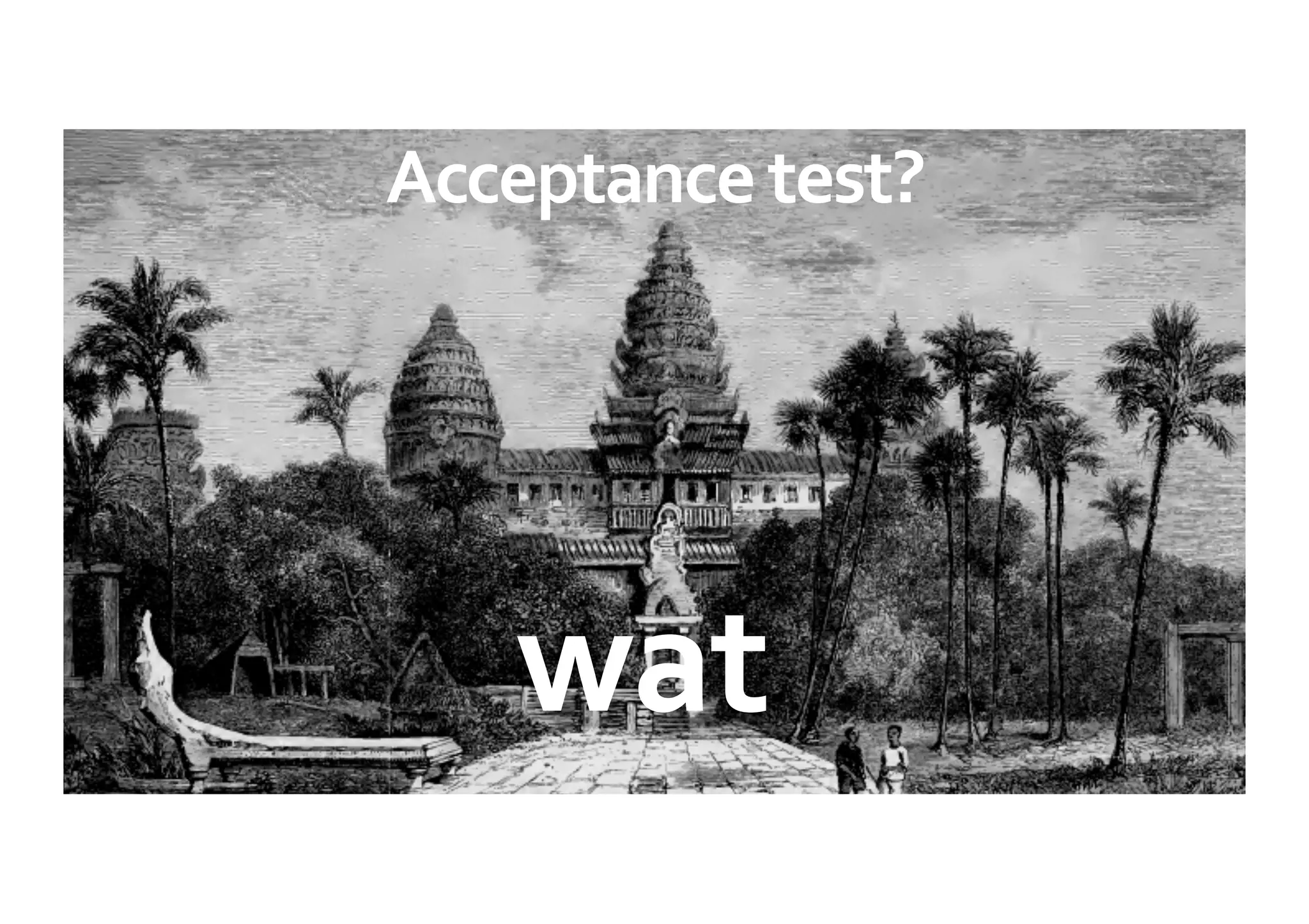 Acceptance	
  test?	
  




     wat	
  
 