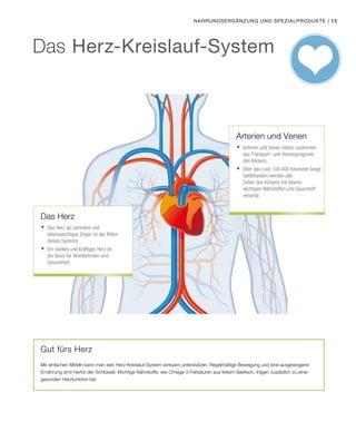 | 15
Gut fürs Herz
Mit einfachen Mitteln kann man sein Herz-Kreislauf-System wirksam unterstützen. Regelmäßige Bewegung und eine ausgewogene
Ernährung sind hierfür der Schlüssel. Wichtige Nährstoffe, wie Omega-3-Fettsäuren aus fettem Seefisch, tragen zusätzlich zu einer
gesunden Herzfunktion bei.
Nahrungsergänzung und Spezialprodukte
Das Herz
Arterien und Venen
	Das Herz als zentrales und
lebenswichtiges Organ ist der Motor
dieses Systems.
	Ein starkes und kräftiges Herz ist
die Basis für Wohlbefinden und
Gesundheit.
	Arterien und Venen bilden zusammen
das Transport- und Versorgungsnetz
des Körpers.
	Über das rund 100.000 Kilometer lange
Gefäßsystem werden alle
Zellen des Körpers mit lebens-
wichtigen Nährstoffen und Sauerstoff
versorgt.
Das Herz-Kreislauf-System
 