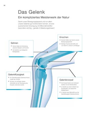 Knochen
	Knochen bilden das Gerüst unseres
Bewegungsapparates
	Wichtige Knochennährstoffe sind
z.B. Vitamin D, Kalzium und Mangan
18
Ein kompliziertes Meisterwerk der Natur
Damit unser Bewegungsapparat und vor allem
unsere Gelenke gut funktionieren können, ist eine
ausreichende Versorgung mit Mikronährstoffen
besonders wichtig – gerade in Belastungsphasen!
Sehnen
Gelenkknorpel
Gelenkflüssigkeit
	Sehnen bilden die Verbindung
zwischen Muskeln und Knochen
	Sie bestehen aus kollagenem
Bindegewebe
	Die Gelenkflüssigkeit (Gelenkschmiere)
umgibt den Knorpel
	Sie kann mit wichtigen Gelenk-
nährstoffen bei der Versorgung des
Knorpels unterstützt werden
	Der Knorpel besitzt eine Schlüssel-
funktion für die Gelenkfunktion
	Er besteht aus einem Geflecht aus
Knorpelzellen und elastischen
Kollagenfasern
	Er bezieht seine Nährstoffe aus der
Gelenkflüssigkeit (Gelenkschmiere)
Das Gelenk
 