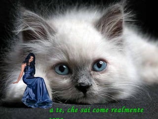 a te, che sai come realmente sono 
