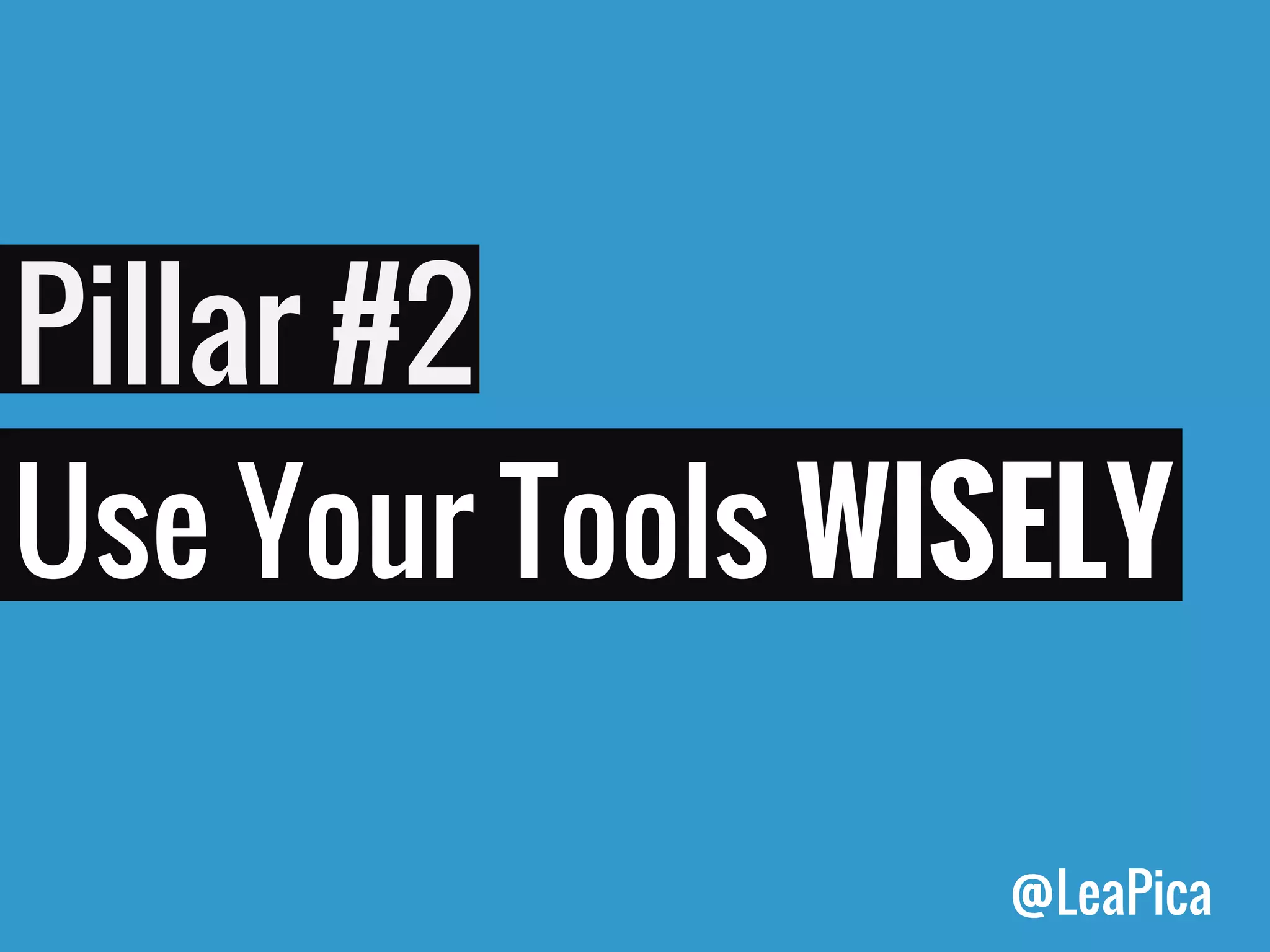 Pillar #2 
Use Your Tools WISELY 
@LeaPica  
